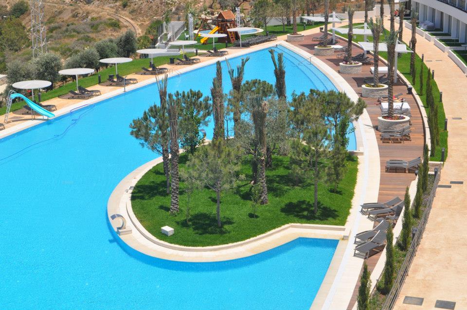 10353027_1432917366989303_2432478313712371751_n